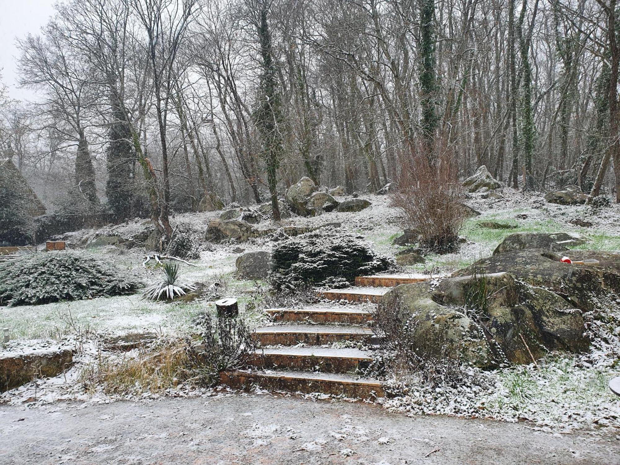 לינה וארוחת בוקר Moigny Le Jardin Des Roches מראה חיצוני תמונה