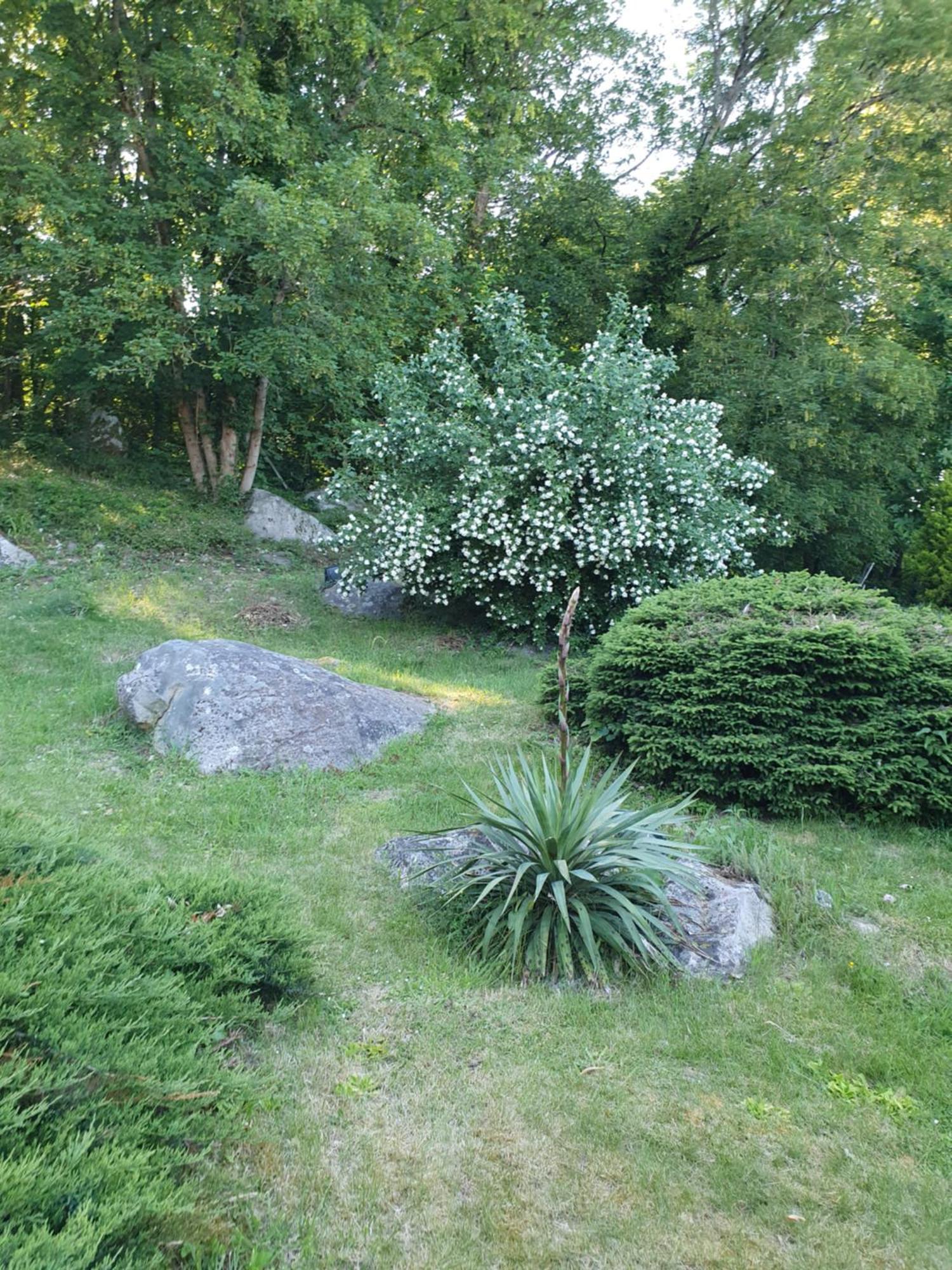 לינה וארוחת בוקר Moigny Le Jardin Des Roches מראה חיצוני תמונה